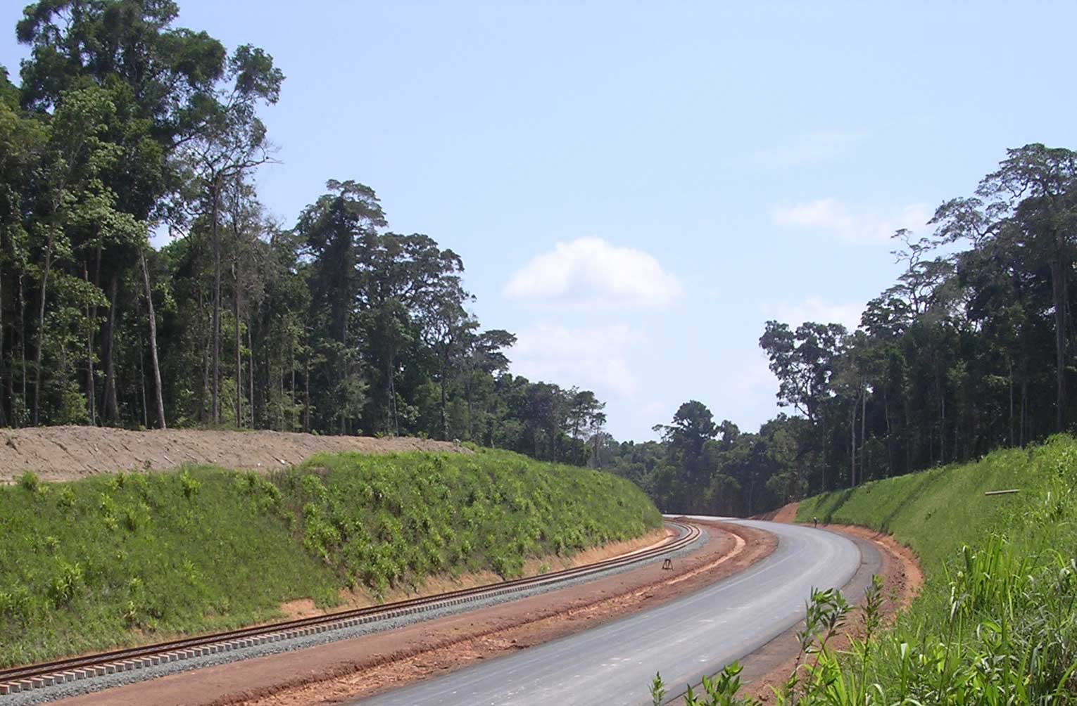 Aspecto da Estrada de Ferro Juruti, ainda na fase de implantação dos trilhos