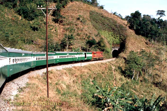 Trem turístico da Mata Atlântica, em 1995